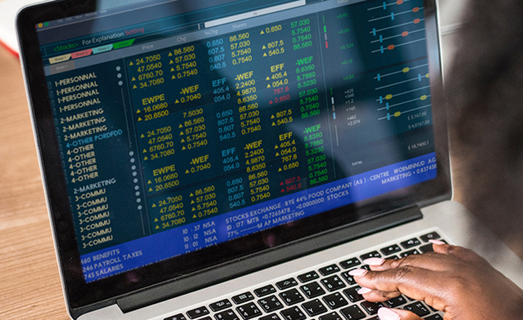 Services Tapias & Bellido Consulting.