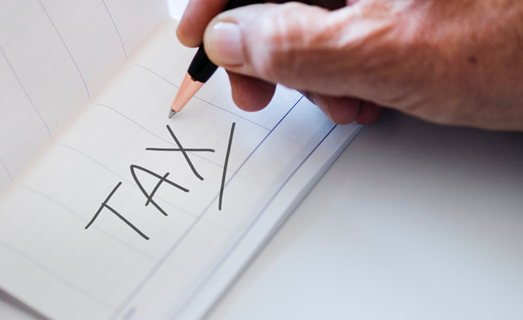 Services Tapias & Bellido Consulting.