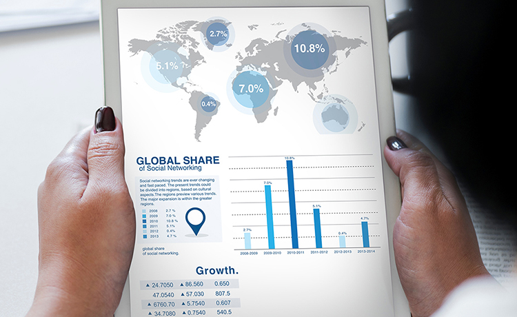 Services Tapias & Bellido Consulting.